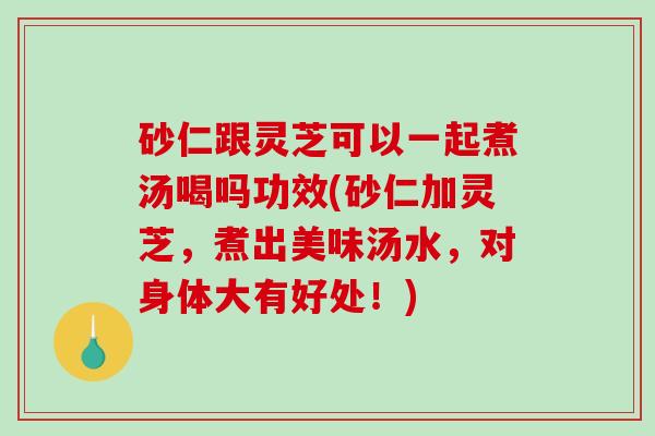 砂仁跟灵芝可以一起煮汤喝吗功效(砂仁加灵芝,煮出美味汤水,对身体大有好处!) 砂仁跟灵芝可以一起煮汤喝吗功效(砂仁加灵芝,煮出美味汤水,对身体大有好处!)