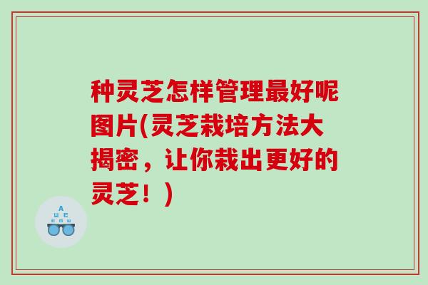 种灵芝怎样管理最好呢图片(灵芝栽培方法大揭密，让你栽出更好的灵芝！)