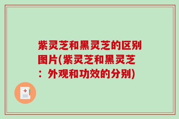 紫灵芝和黑灵芝的区别图片(紫灵芝和黑灵芝:外观和功效的分别) 紫灵芝和黑灵芝的区别图片(紫灵芝和黑灵芝:外观和功效的分别)