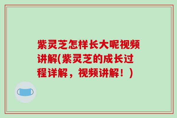 紫灵芝怎样长大呢视频讲解(紫灵芝的成长过程详解,视频讲解!) 紫灵芝怎样长大呢视频讲解(紫灵芝的成长过程详解,视频讲解!)