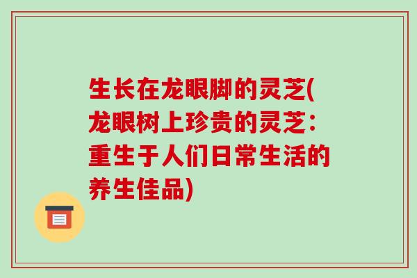 生长在龙眼脚的灵芝(龙眼树上珍贵的灵芝:重生于人们日常生活的养生佳品) 生长在龙眼脚的灵芝(龙眼树上珍贵的灵芝:重生于人们日常生活的养生佳品)