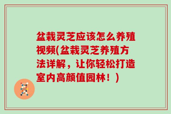 盆栽灵芝应该怎么养殖视频(盆栽灵芝养殖方法详解,让你轻松打造室内高颜值园林!) 盆栽灵芝应该怎么养殖视频(盆栽灵芝养殖方法详解,让你轻松打造室内高颜值园林!)