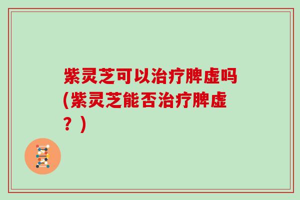 紫灵芝可以治疗脾虚吗(紫灵芝能否治疗脾虚？)