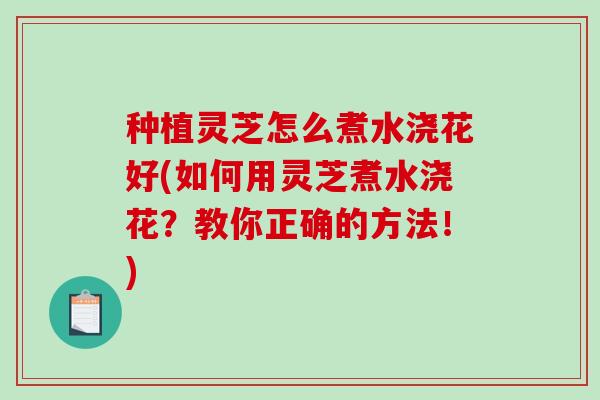 种植灵芝怎么煮水浇花好(如何用灵芝煮水浇花？教你正确的方法！)