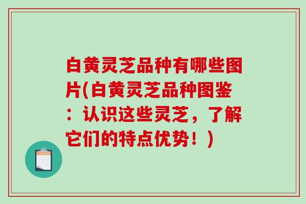 白黄灵芝品种有哪些图片(白黄灵芝品种图鉴：认识这些灵芝，了解它们的特点优势！)