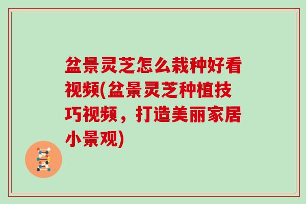 盆景灵芝怎么栽种好看视频(盆景灵芝种植技巧视频，打造美丽家居小景观)