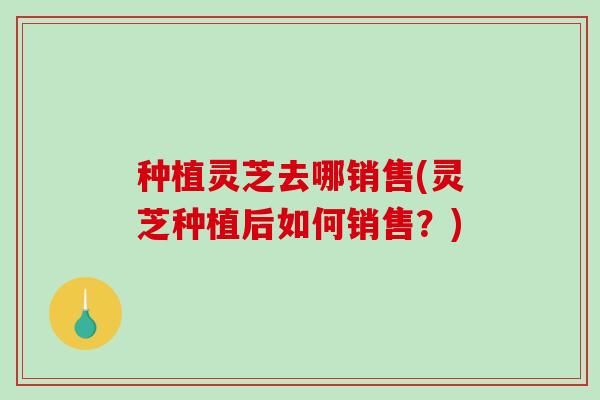 种植灵芝去哪销售(灵芝种植后如何销售?) 种植灵芝去哪销售(灵芝种植后如何销售?)