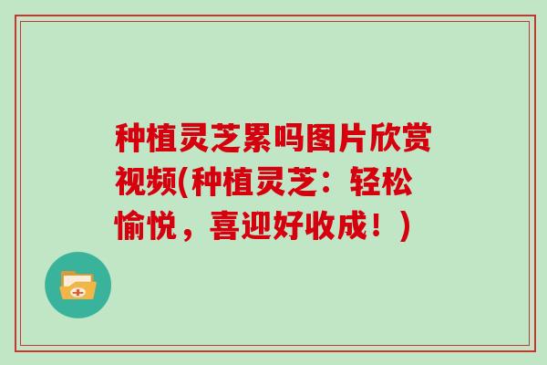 种植灵芝累吗图片欣赏视频(种植灵芝:轻松愉悦,喜迎好收成!) 种植灵芝累吗图片欣赏视频(种植灵芝:轻松愉悦,喜迎好收成!)