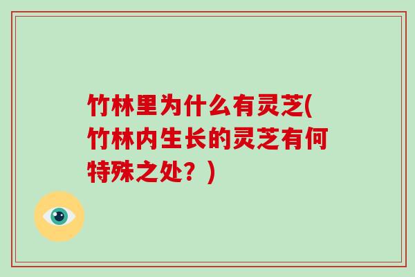 竹林里为什么有灵芝(竹林内生长的灵芝有何特殊之处?) 竹林里为什么有灵芝(竹林内生长的灵芝有何特殊之处?)