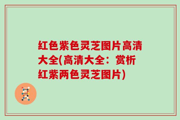 红色紫色灵芝图片高清大全(高清大全:赏析红紫两色灵芝图片) 红色紫色灵芝图片高清大全(高清大全:赏析红紫两色灵芝图片)