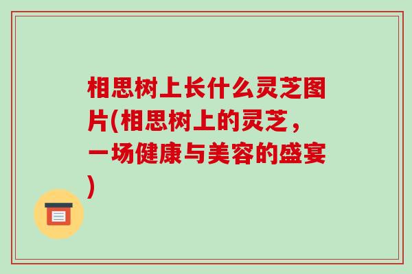 相思树上长什么灵芝图片(相思树上的灵芝,一场健康与美容的盛宴) 相思树上长什么灵芝图片(相思树上的灵芝,一场健康与美容的盛宴)