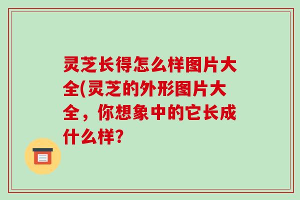 灵芝长得怎么样图片大全(灵芝的外形图片大全，你想象中的它长成什么样？