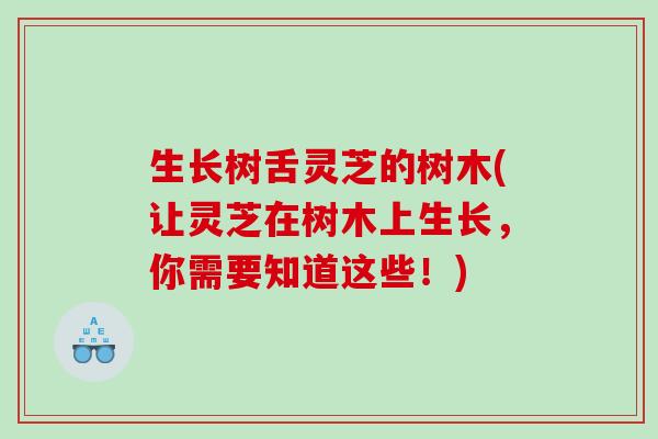 生长树舌灵芝的树木(让灵芝在树木上生长,你需要知道这些!) 生长树舌灵芝的树木(让灵芝在树木上生长,你需要知道这些!)