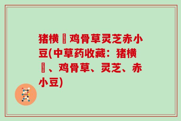 猪横脷鸡骨草灵芝赤小豆(中草药收藏:猪横脷、鸡骨草、灵芝、赤小豆) 猪横脷鸡骨草灵芝赤小豆(中草药收藏:猪横脷、鸡骨草、灵芝、赤小豆)