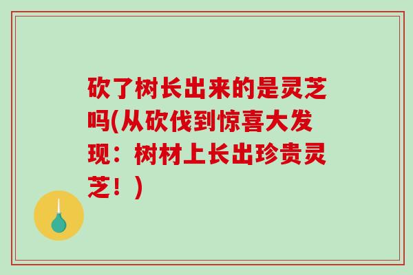 砍了树长出来的是灵芝吗(从砍伐到惊喜大发现：树材上长出珍贵灵芝！)