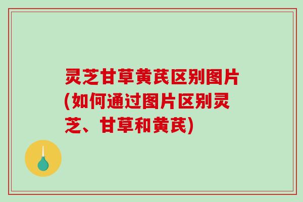灵芝甘草黄芪区别图片(如何通过图片区别灵芝、甘草和黄芪) 灵芝甘草黄芪区别图片(如何通过图片区别灵芝、甘草和黄芪)