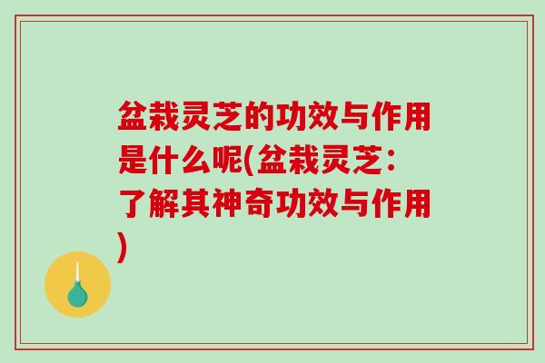 盆栽灵芝的功效与作用是什么呢(盆栽灵芝：了解其神奇功效与作用)