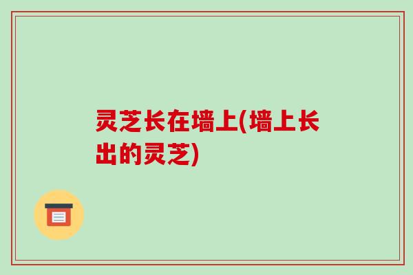 灵芝长在墙上(墙上长出的灵芝) 灵芝长在墙上(墙上长出的灵芝)