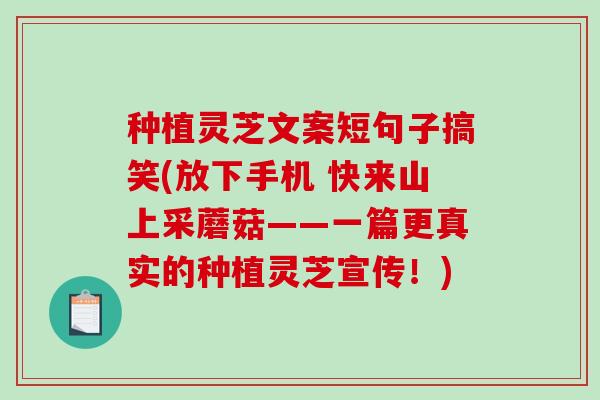 种植灵芝文案短句子搞笑(放下手机 快来山上采蘑菇——一篇更真实的种植灵芝宣传!) 种植灵芝文案短句子搞笑(放下手机 快来山上采蘑菇——一篇更真实的种植灵芝宣传!)