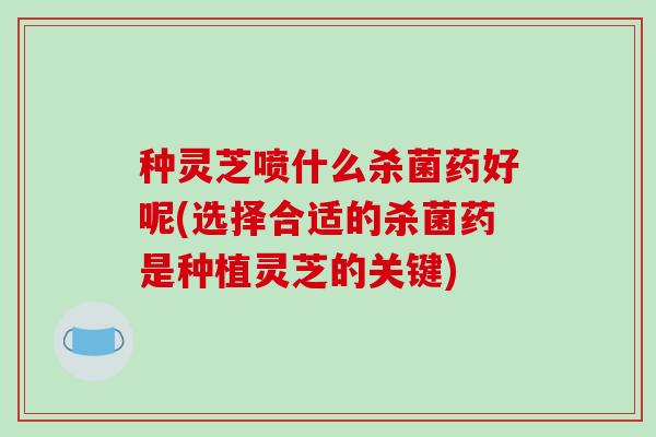 种灵芝喷什么杀菌药好呢(选择合适的杀菌药是种植灵芝的关键)