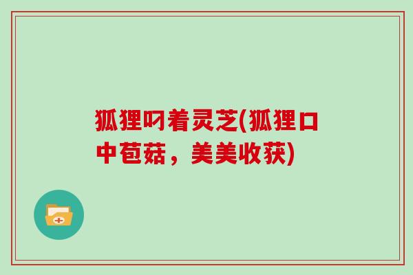狐狸叼着灵芝(狐狸口中苞菇，美美收获)