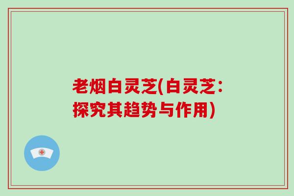 老烟白灵芝(白灵芝:探究其趋势与作用) 老烟白灵芝(白灵芝:探究其趋势与作用)