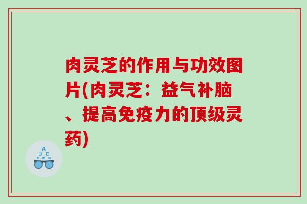 肉灵芝的作用与功效图片(肉灵芝:益气补脑、提高免疫力的灵药) 肉灵芝的作用与功效图片(肉灵芝:益气补脑、提高免疫力的灵药)
