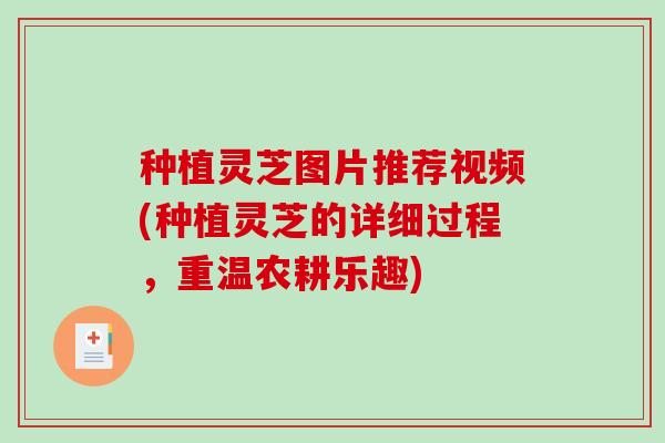 种植灵芝图片推荐视频(种植灵芝的详细过程,重温农耕乐趣) 种植灵芝图片推荐视频(种植灵芝的详细过程,重温农耕乐趣)