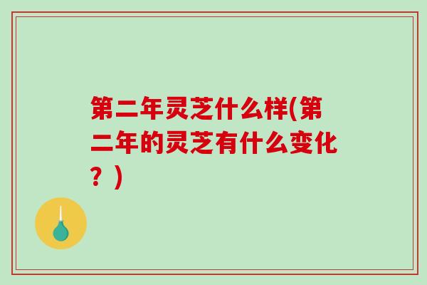 第二年灵芝什么样(第二年的灵芝有什么变化？)