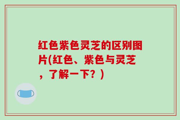 红色紫色灵芝的区别图片(红色、紫色与灵芝,了解一下?) 红色紫色灵芝的区别图片(红色、紫色与灵芝,了解一下?)
