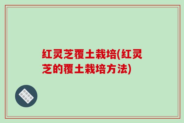 红灵芝覆土栽培(红灵芝的覆土栽培方法) 红灵芝覆土栽培(红灵芝的覆土栽培方法)