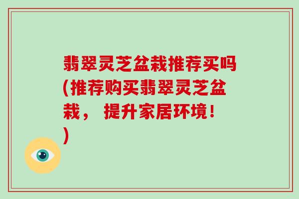 翡翠灵芝盆栽推荐买吗(推荐购买翡翠灵芝盆栽, 提升家居环境!) 翡翠灵芝盆栽推荐买吗(推荐购买翡翠灵芝盆栽, 提升家居环境!)