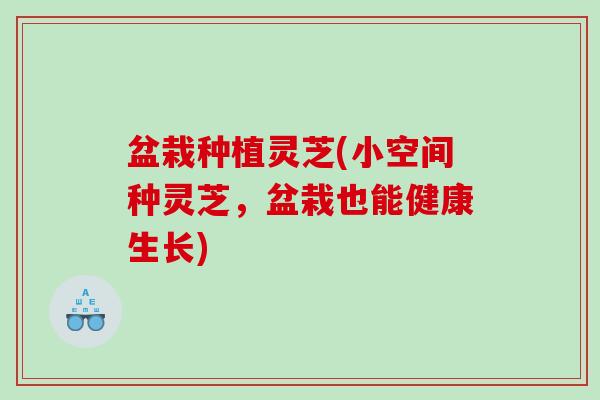 盆栽种植灵芝(小空间种灵芝，盆栽也能健康生长)