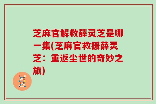 芝麻官解救薛灵芝是哪一集(芝麻官救援薛灵芝：重返尘世的奇妙之旅)