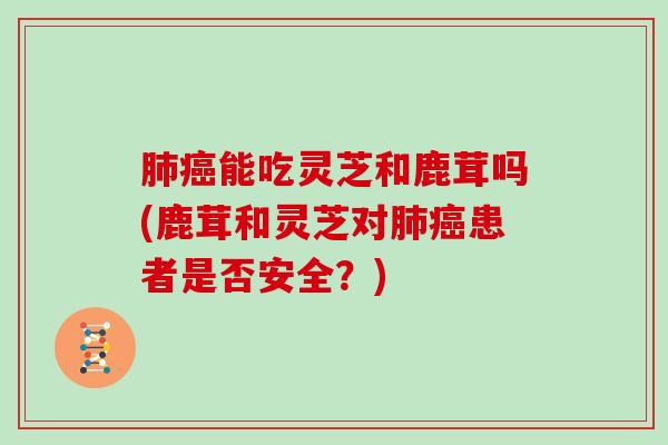 肺癌能吃灵芝和鹿茸吗(鹿茸和灵芝对肺癌患者是否安全？)