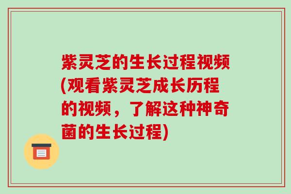 紫灵芝的生长过程视频(观看紫灵芝成长历程的视频,了解这种神奇菌的生长过程) 紫灵芝的生长过程视频(观看紫灵芝成长历程的视频,了解这种神奇菌的生长过程)