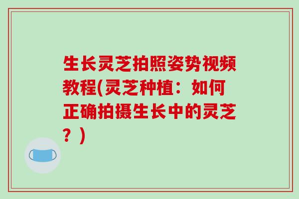 生长灵芝拍照姿势视频教程(灵芝种植：如何正确拍摄生长中的灵芝？)