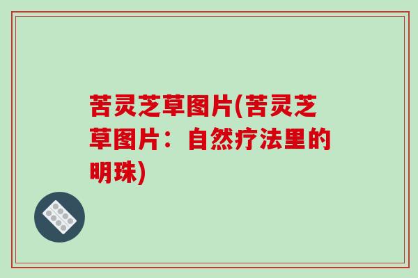 苦灵芝草图片(苦灵芝草图片：自然疗法里的明珠)
