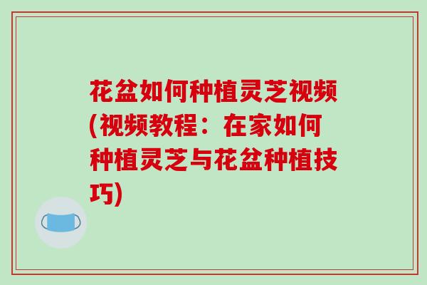 花盆如何种植灵芝视频(视频教程:在家如何种植灵芝与花盆种植技巧) 花盆如何种植灵芝视频(视频教程:在家如何种植灵芝与花盆种植技巧)