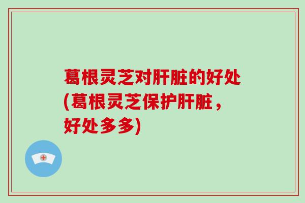 葛根灵芝对的好处(葛根灵芝保护,好处多多) 葛根灵芝对的好处(葛根灵芝保护,好处多多)