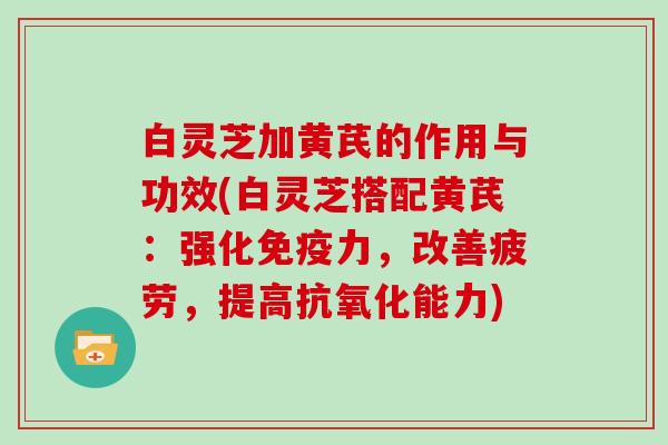 白灵芝加黄芪的作用与功效(白灵芝搭配黄芪:强化免疫力,改善疲劳,提高能力) 白灵芝加黄芪的作用与功效(白灵芝搭配黄芪:强化免疫力,改善疲劳,提高能力)