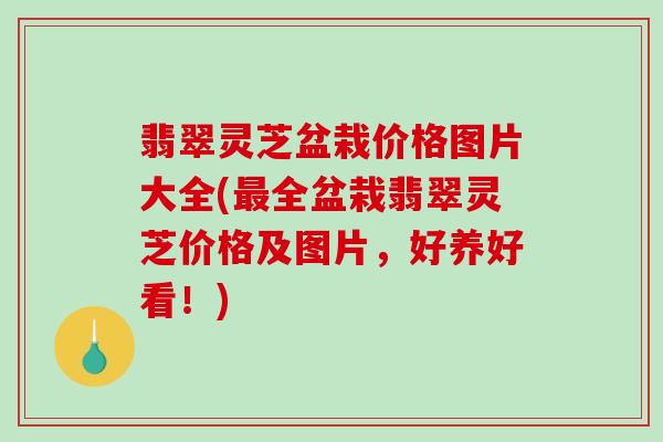 翡翠灵芝盆栽价格图片大全(最全盆栽翡翠灵芝价格及图片，好养好看！)
