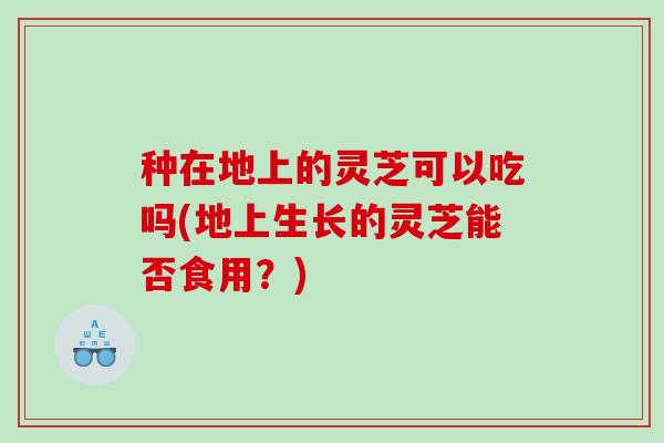 种在地上的灵芝可以吃吗(地上生长的灵芝能否食用？)
