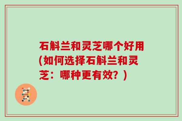 石斛兰和灵芝哪个好用(如何选择石斛兰和灵芝：哪种更有效？)