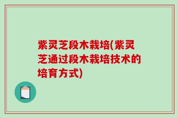 紫灵芝段木栽培(紫灵芝通过段木栽培技术的培育方式)