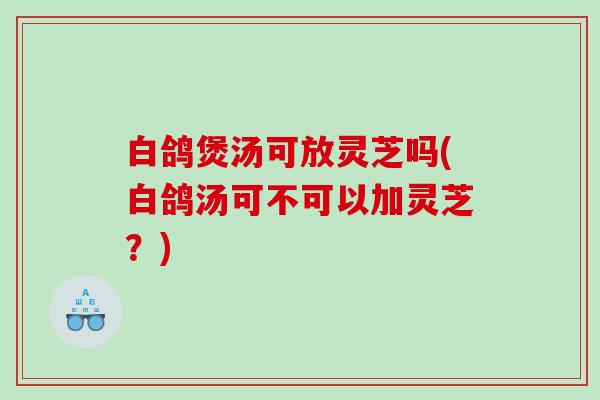 白鸽煲汤可放灵芝吗(白鸽汤可不可以加灵芝？)