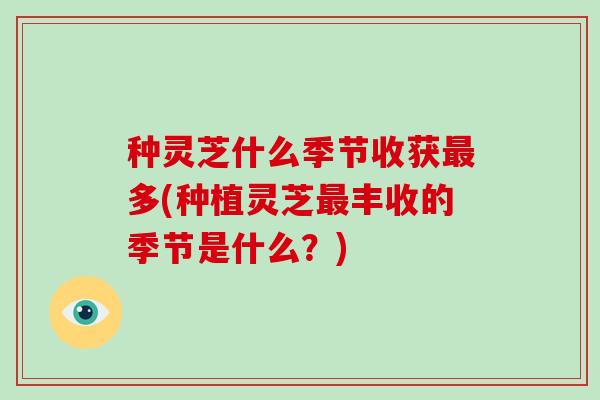 种灵芝什么季节收获多(种植灵芝丰收的季节是什么?) 种灵芝什么季节收获多(种植灵芝丰收的季节是什么?)