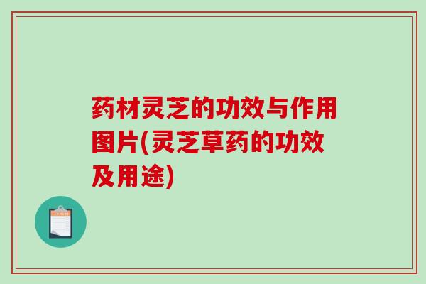 药材灵芝的功效与作用图片(灵芝草药的功效及用途)