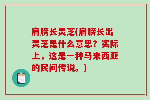 肩膀长灵芝(肩膀长出灵芝是什么意思?实际上,这是一种马来西亚的民间传说。) 肩膀长灵芝(肩膀长出灵芝是什么意思?实际上,这是一种马来西亚的民间传说。)