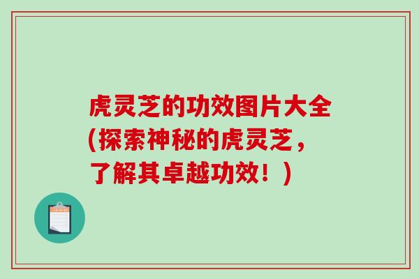 虎灵芝的功效图片大全(探索神秘的虎灵芝,了解其卓越功效!) 虎灵芝的功效图片大全(探索神秘的虎灵芝,了解其卓越功效!)